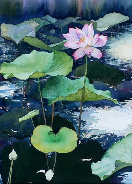 Lotus painting 3